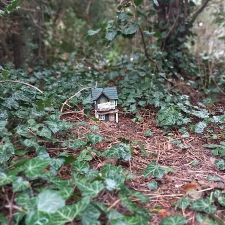 Zum 8 Weltwunder, Wildwald Edition わあわ 1 Bis 3 やlayer あや Anno 1894 , Age 0-99 アパート ヴォルフェンビュッテル